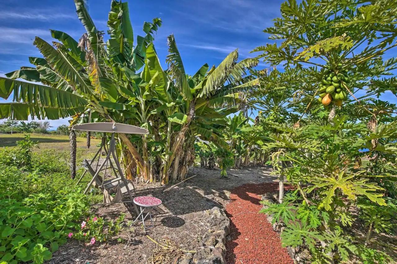 Tranquility Guest House Holualoa Eksteriør billede